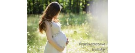 prevence potratu byliny bylinky babské rady protipotratové byliny