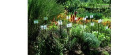 verejne bylinkove zahrady v cr seznam vsech verejne pristupnych bylinkovych zahrad v ceske republice