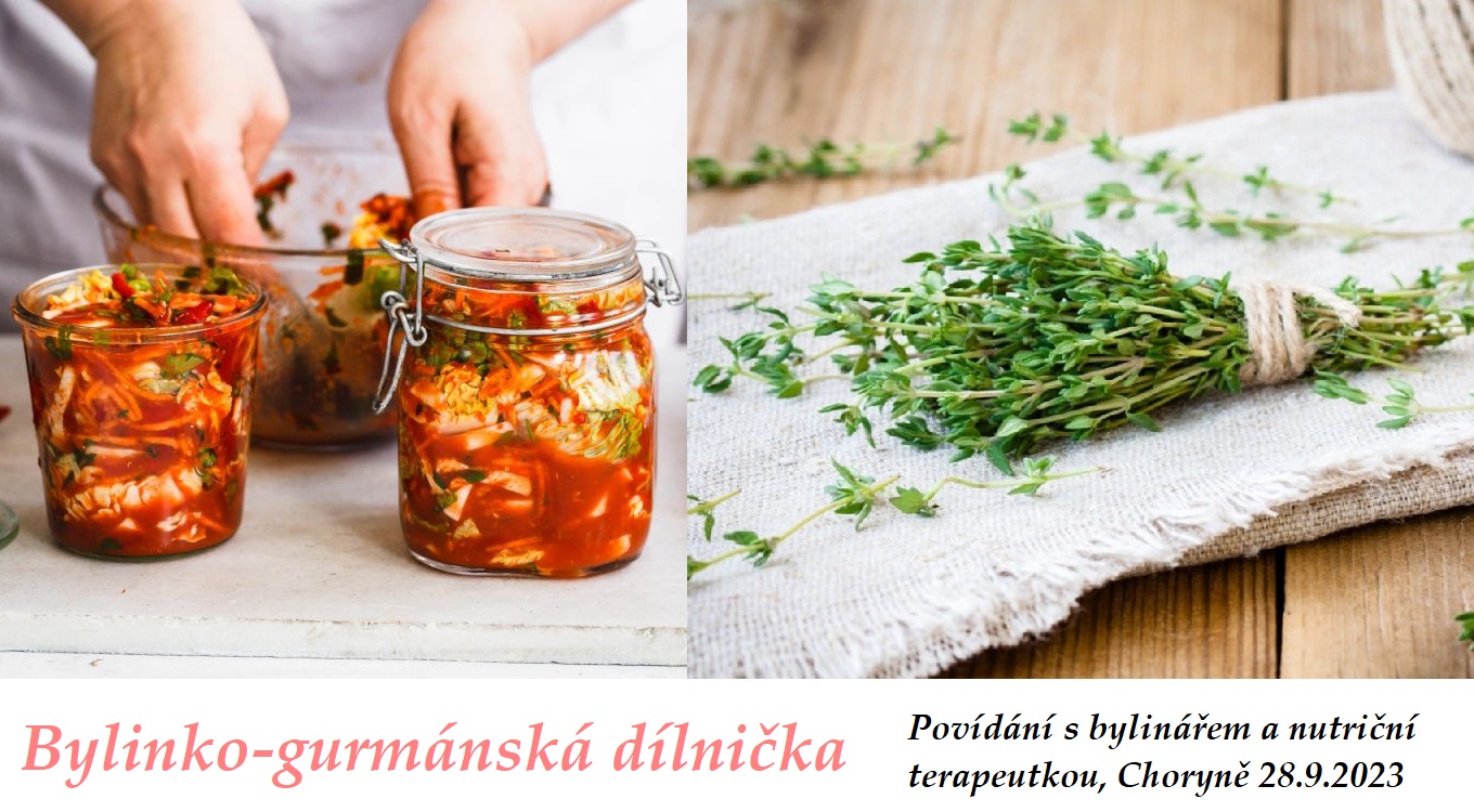 bylinko gurmanska dilnicka a povidani s bylinarem a nutricni terapeutkou choryne 28 9 2023 