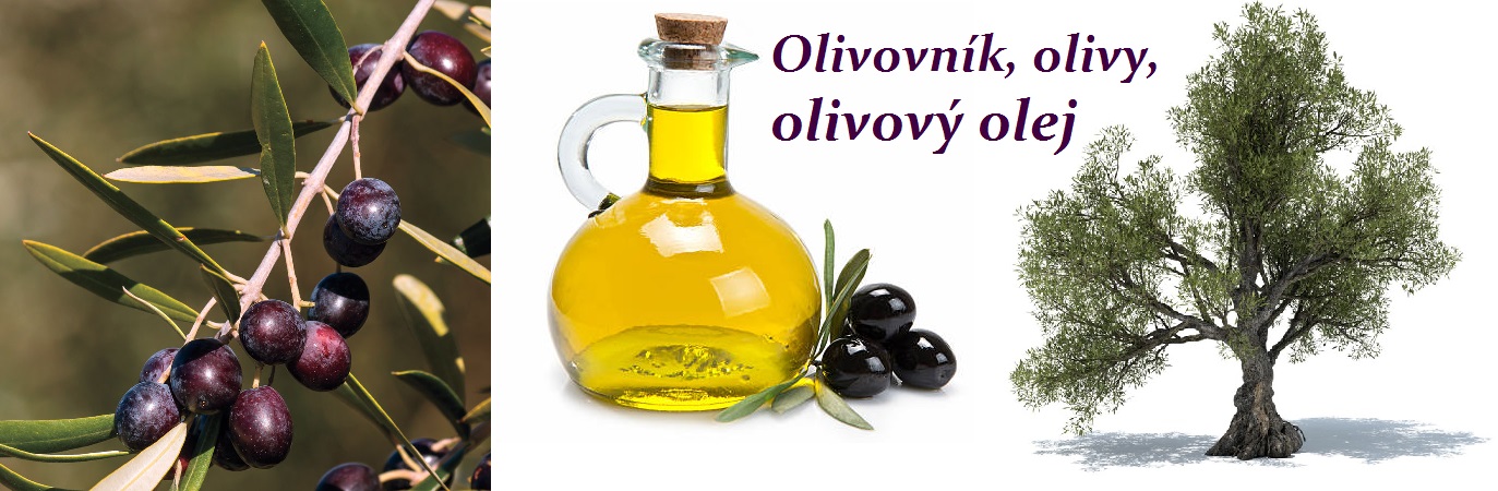 Co léčí olivy?