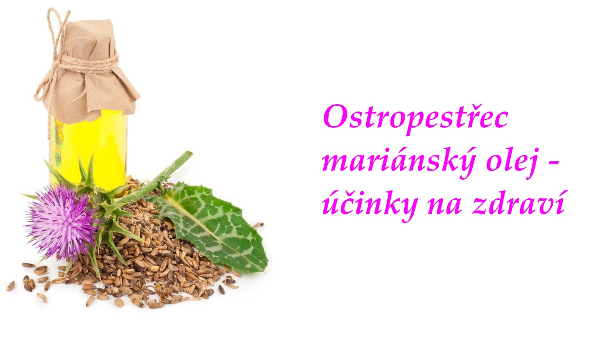 Ostropestřec mariánský ostropestřecový olej účinky