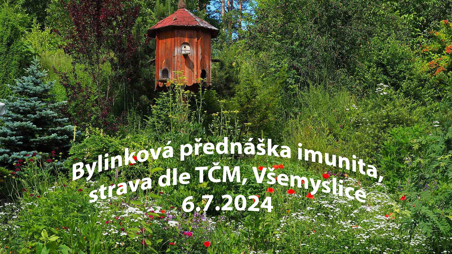 prednaska jak si udrzet fit imunitu strava podle tradicni cinske mediciny vsemyslice 6 7 2024 