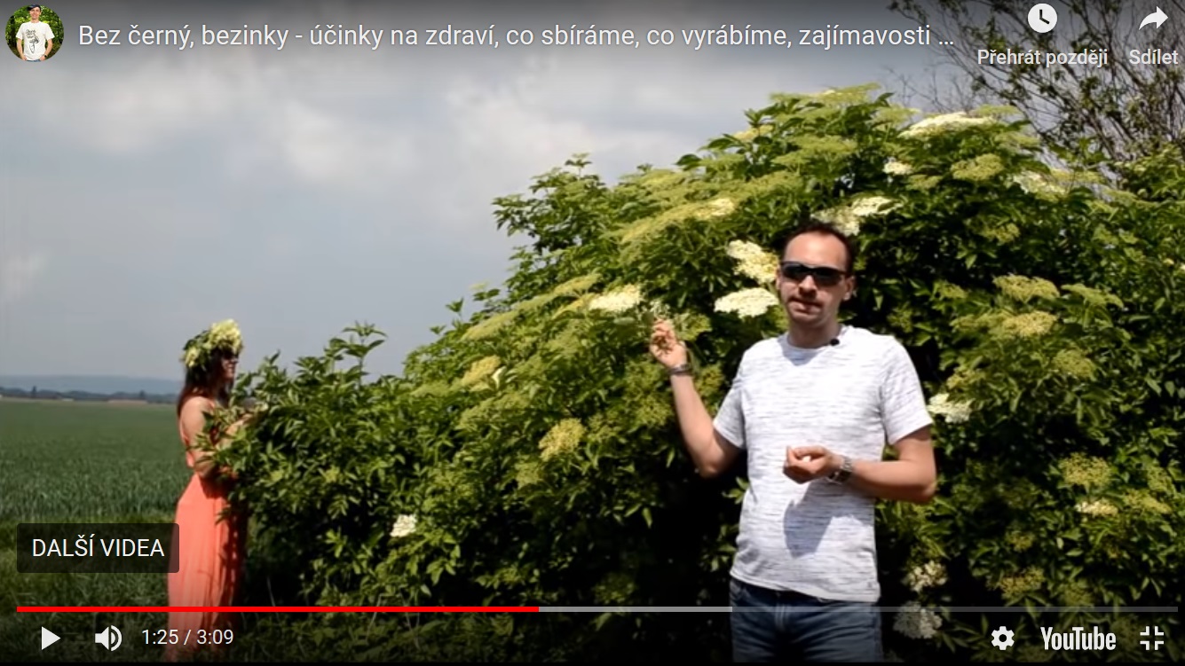 bez cerny bezinky video