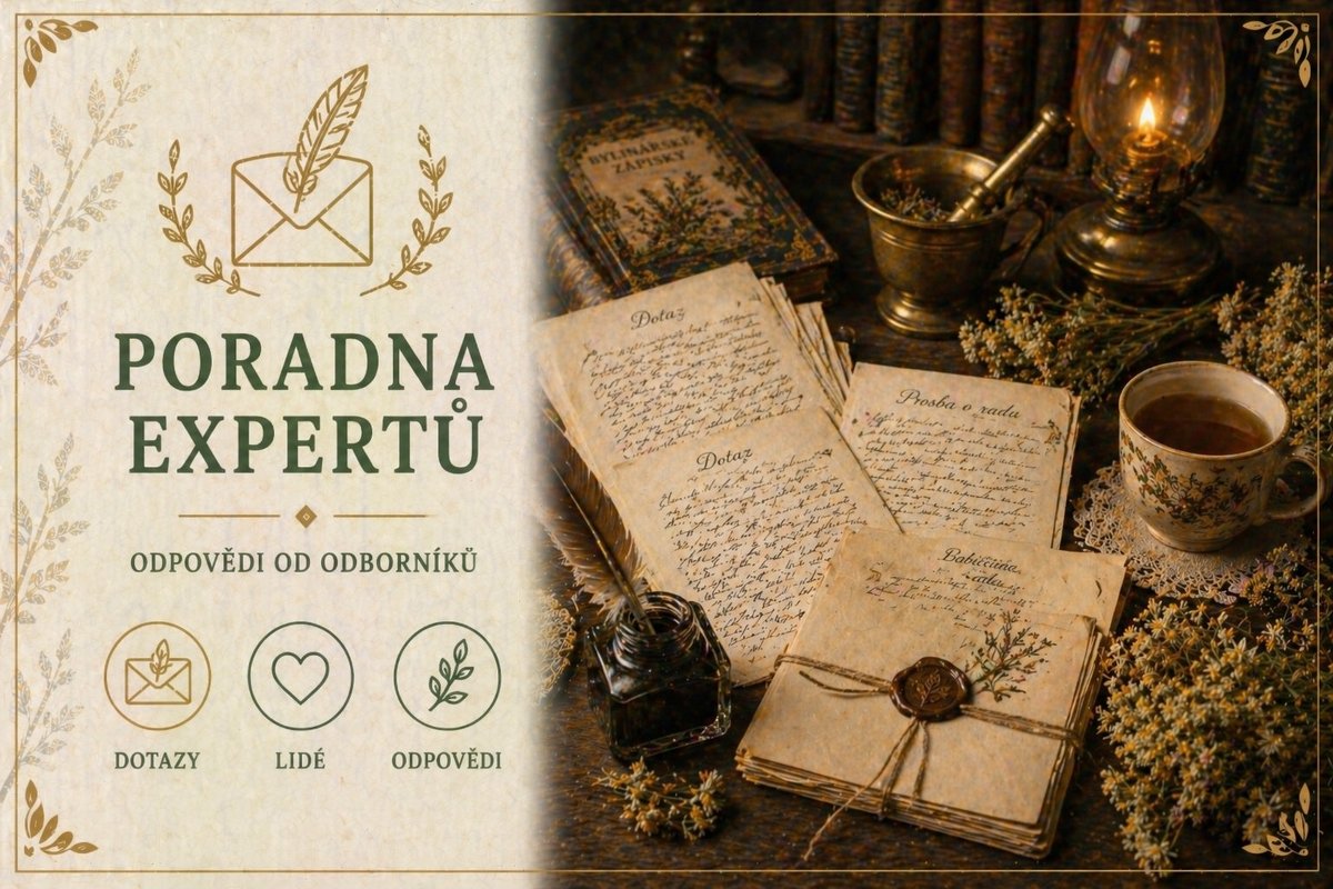 Bylinková poradna - externisti