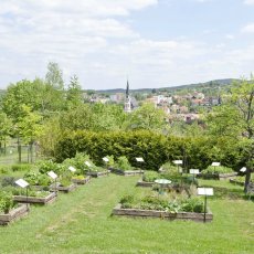 Bylinková zahrada kouzelné bylinky Český Krumlov