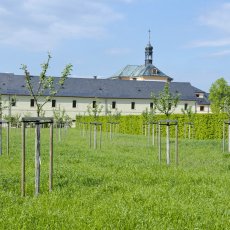 Bylinková zahrada hospital Kuks