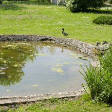 Bylinková zahrada Hradec Králové (Botanická zahrada léčivých rostlin FF UK Hradec Králové)