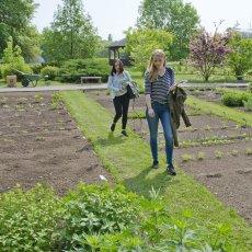 Bylinková zahrada Hradec Králové (Botanická zahrada léčivých rostlin FF UK Hradec Králové)