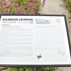 Bylinková zahrada Valtice u Lednice (Tiree Chmelar)