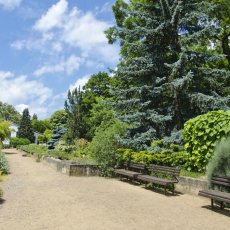 Bylinková zahrada Brno - Zahrada léčivých rostlin Lékařské fakulty Masarykovy Univezity