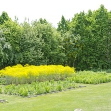 Bylinková zahrada Botanicus, Ostrá