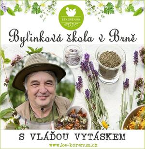 Bylinkova skola Vlada Vytasek ke korenum Brno 2024