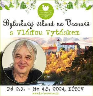 Vlada Vytasek kurz Bitov 2025