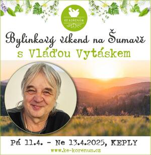 Vlada Vytasek kurz Keply 2025