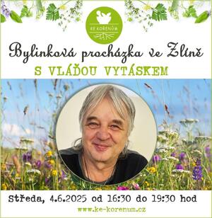 Vlada Vytasek kurz Zlin 2025