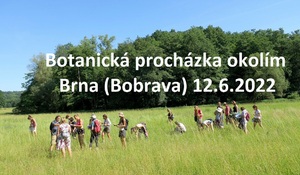 botanicka prochazka okolim brna bobrava 2022 1