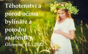 Bylinková přednáška Olomouc 15.5.2022 Těhotenství a porod očima bylináře a porodní asistentky