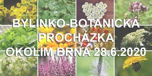 Bylinková procházka Brno 28.6.2020 Martin Sedlák botanik MUDr. Zbyněk Mlčoch