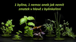 1 bylina 1 nemoc jak nemit zmatek v hlave z bylin bylinek fytoterapie