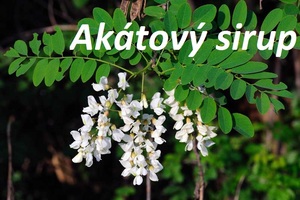 Akátový sirup recept postup návod příprava suroviny ingredience