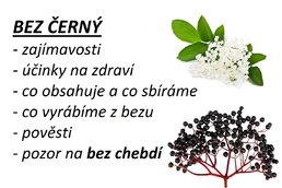 bez cerny video ucinky zajimavosti co sbirame a co z bezu vyrabime