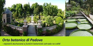 botanicka zahrada padova italie nejstarsi botanicka zahrada na svete