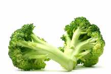 brokolice ucinky na zdravi co leci pouziti uzivani vyuziti pestovani skudci a nemoci brambor