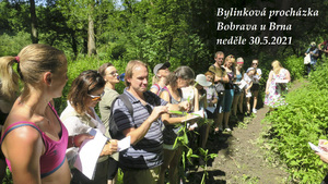 Bylinková botanická procházka Bobrava u Brna 30.5.2021 MUDr. Mlčoch Martin Sedlák