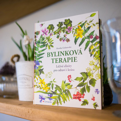 bylinkova terapie pupeny gemoterapie gemmoterapie