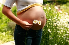 bylinky-vhodne-a-nevhodne-v-tehotenstvi-potraviny-nevhodne-v-tehotenstvi-seznam