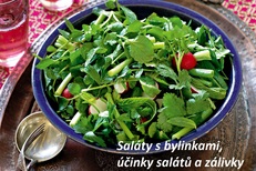 Byliny bylinky do salátů zálivky typy salátů