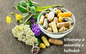 byliny bylinky vitaminy minerály obsažene v rostlinach hořčík zinek selen