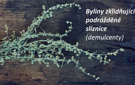 byliny zklidnujici podrazdene sliznice demulcenty