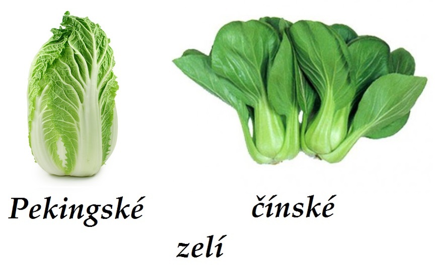 Na co je dobré čínské zelí?