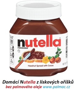 Domácí Nutella recept postup návod výroba příprava suroviny ingredience
