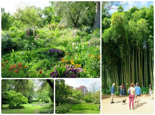 zahrada giardini di ninfa u rima italie fotografie informace 5