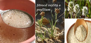 jitrocel vejcity psyllium ucinky na zdravi co leci pouziti uzivani vyuziti