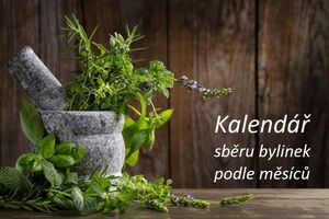 kalendar sberu bylin podle mesicu tabulka 4