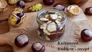 Kaštanová tinktura výroba recept postup návod příprava suroviny ingredience