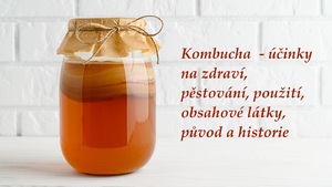 kombucha ucinky a pouziti pestovani jake latky obsahuje puvod historie