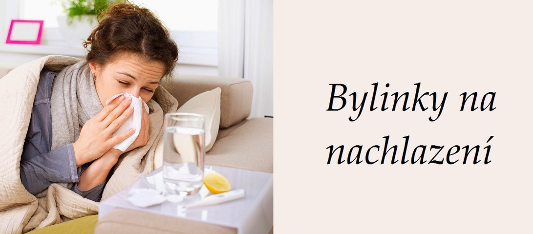 Nachlazeni Byliny Bylinky Babske Rady Caje Kloktadla