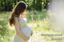 prevence potratu byliny bylinky babské rady protipotratové byliny