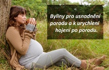 Příprava na porod byliny, bylinky, vyvolání porodu bylinami, bylinkami