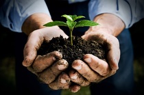 prirodni hnojivo biohnojivo hnojiva z rostlin a bylin priprava vyroba