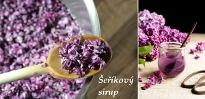 Šeříkový sirup recept postup návod příprava suroviny ingredience