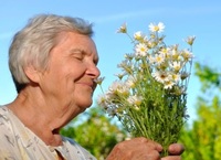 stari lide a byliny bylinky specifika lecby fytoterapii u starsich lidi