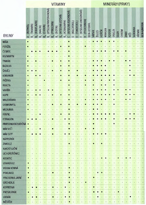vitaminy mineraly byliny bylinky 2