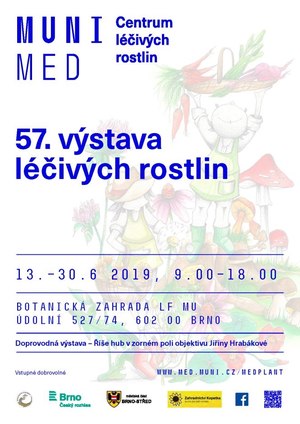 Výstava léčivých rostlin Brno 2019 - botanická zahrada Lékařské fakulty Masarykovy univerzity Brno