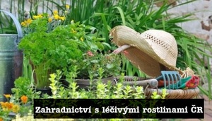 Seznam zahradnictví s bylinami bylinkami léčivými rostlinami ČR