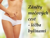 zanet mocovych cest mocoveho mechyre byliny bylinky babske rady caje tinktury obklady koupele